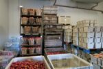 A storage facility full of bushels and large boxes of apples