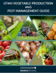 Various vegetables on the cover of Utah vegetable production and pest management guide